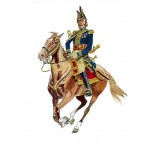 Napoleon's Imperial Guard Vol I